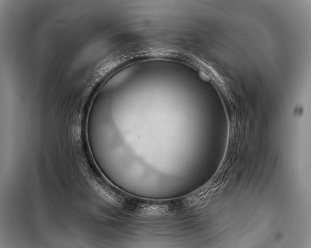 X0000101210155200806271423