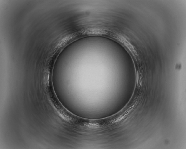 X0000101210157200806271423