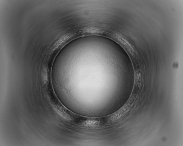 X0000101210158200806271423