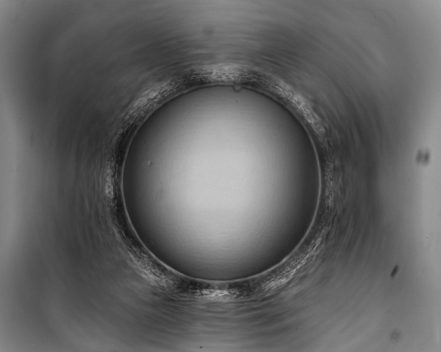 X0000101210161200806271423