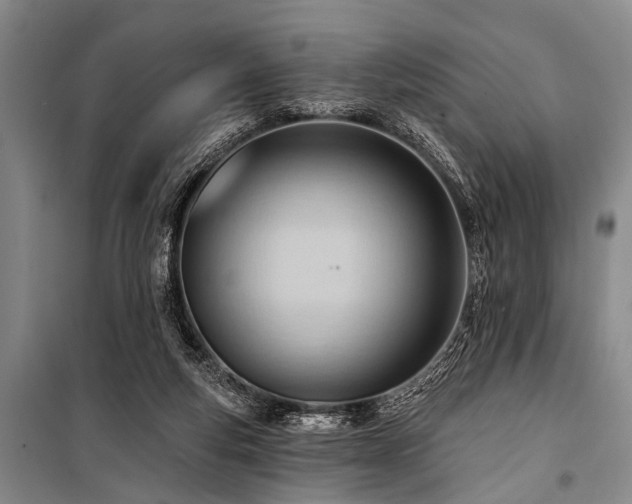 X0000101210163200806271423