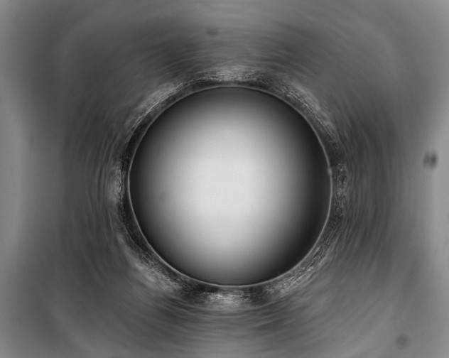 X0000101210164200806271423