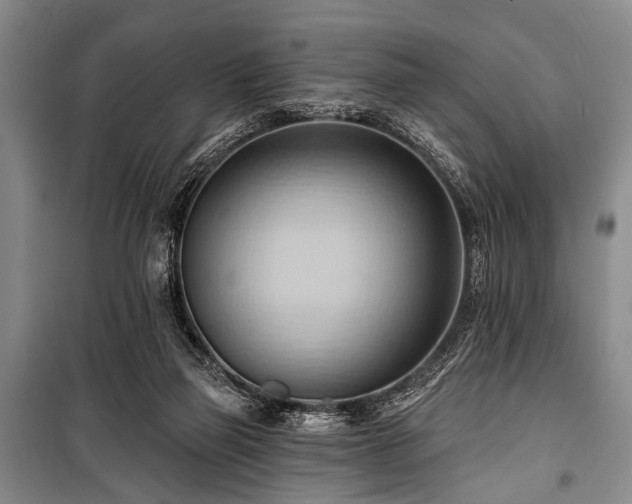 X0000101210165200806271423