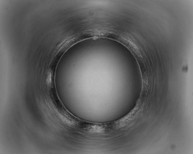 X0000101210166200806271423