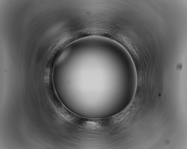 X0000101210167200806271423