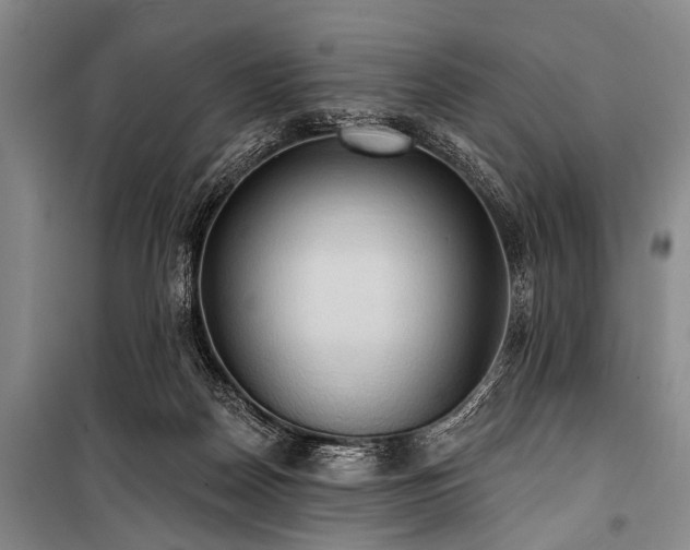 X0000101210170200806271423