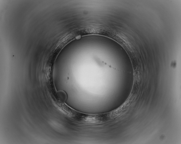 X0000101210171200806271423