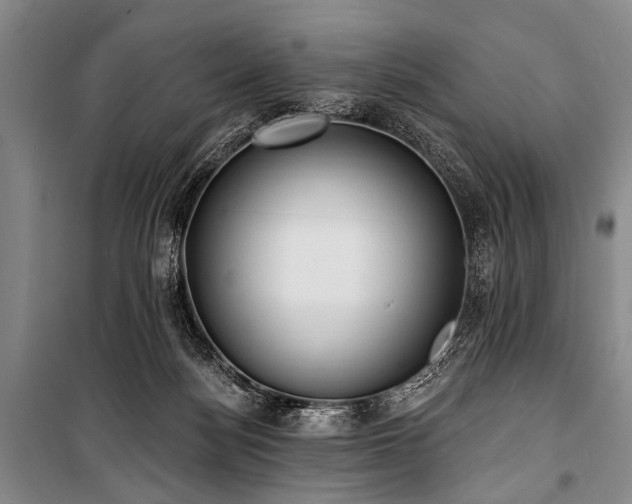 X0000101210172200806271423