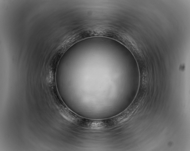 X0000101210173200806271423