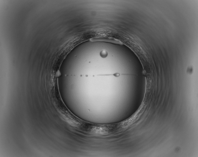 X0000101210174200806271423