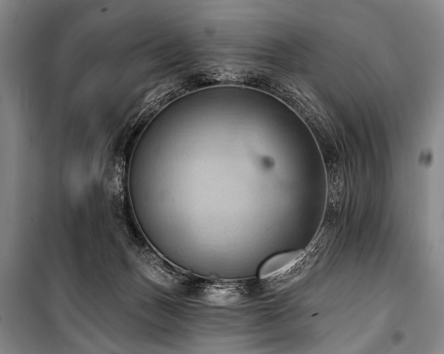 X0000101210175200806271423