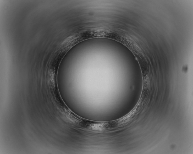 X0000101210178200806271424