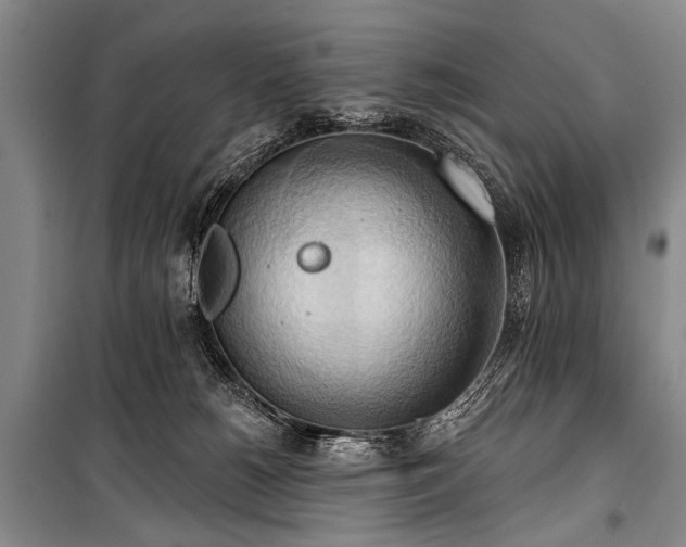 X0000101210180200806271424