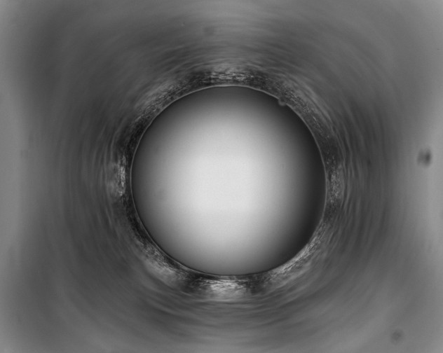 X0000101210183200806271424