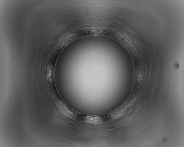 X0000101210185200806271424