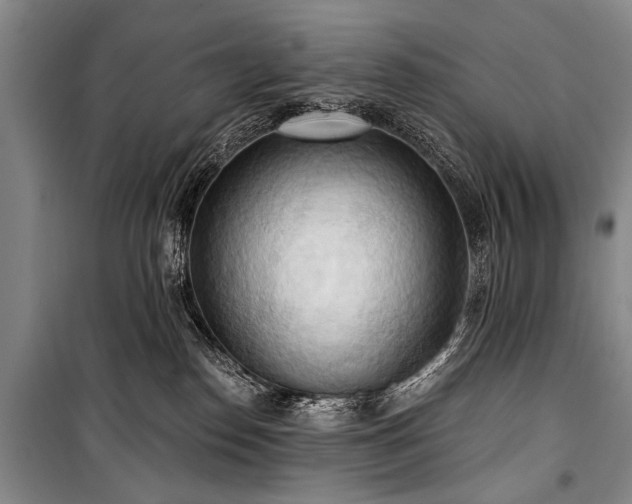 X0000101210186200806271424