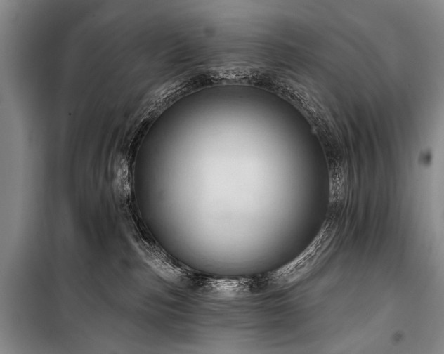 X0000101210187200806271424