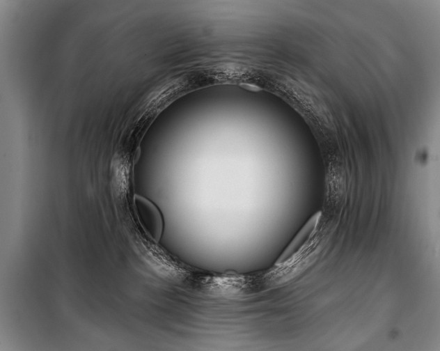 X0000101210188200806271424