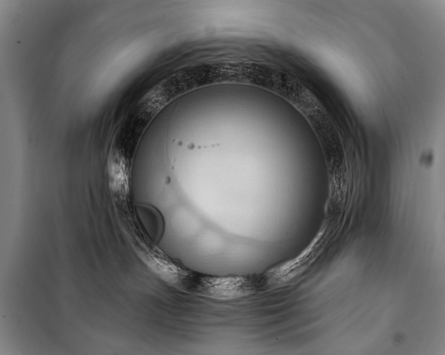 X0000101210191200806271424