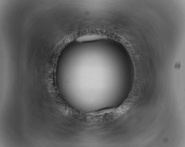 X0000101210192200806271424