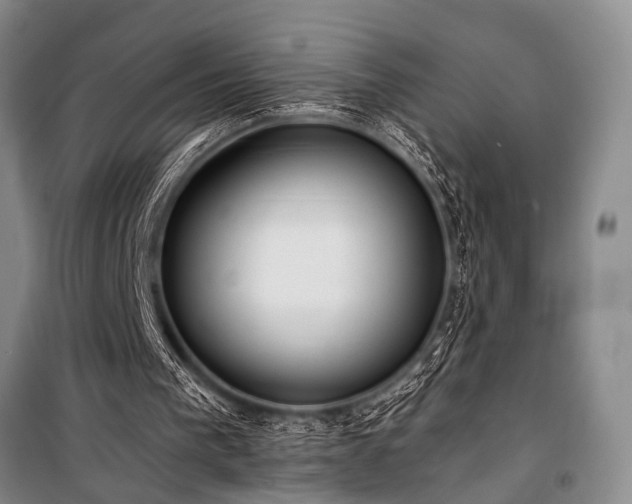 X0000101210193200806271423