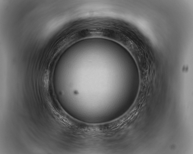 X0000101210194200806271423