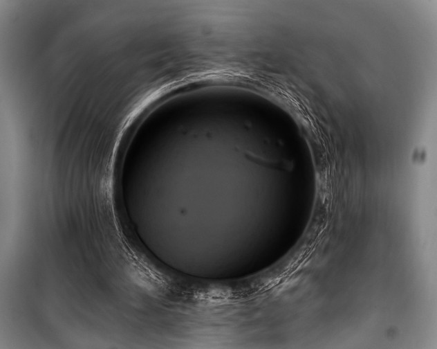 X0000101210196200806271423