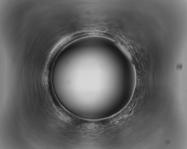 X0000101210197200806271423