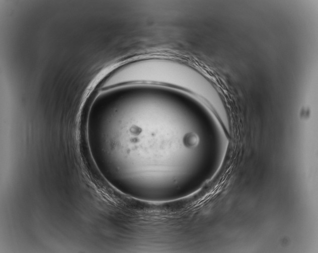 X0000101210200200806271423