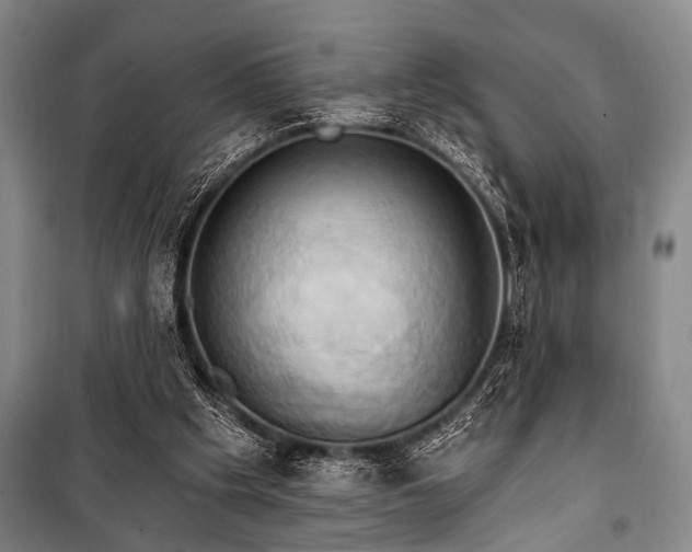 X0000101210201200806271423