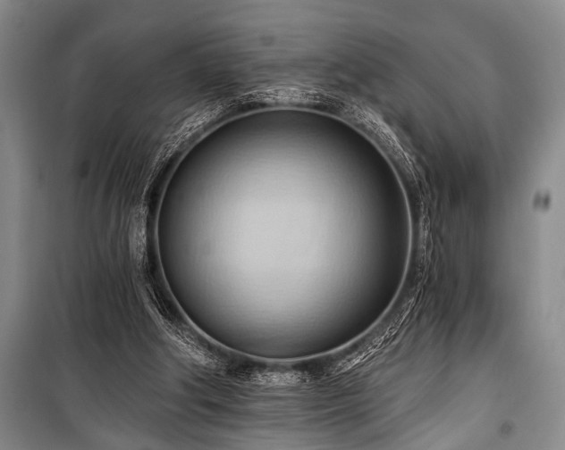 X0000101210202200806271423