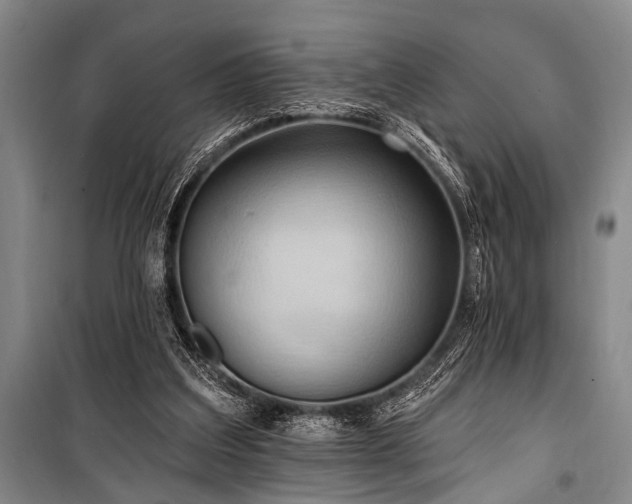 X0000101210203200806271423