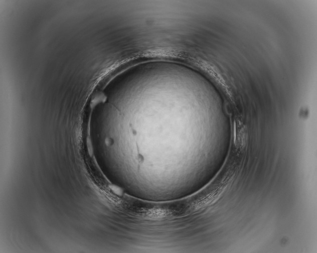 X0000101210204200806271423