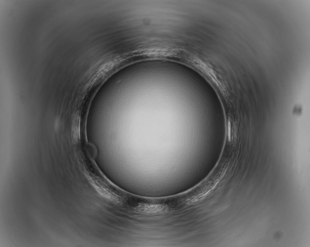 X0000101210205200806271423