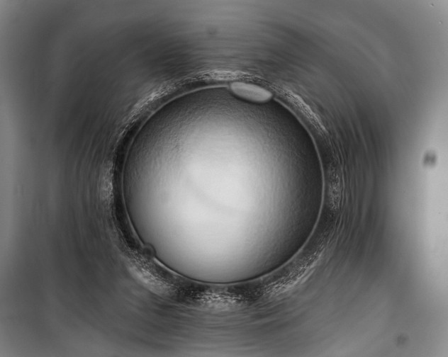 X0000101210207200806271423