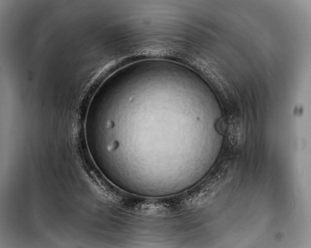 X0000101210208200806271423