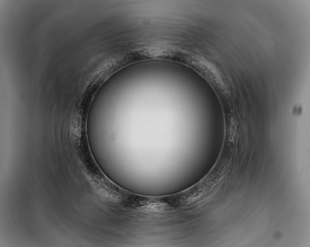 X0000101210210200806271423