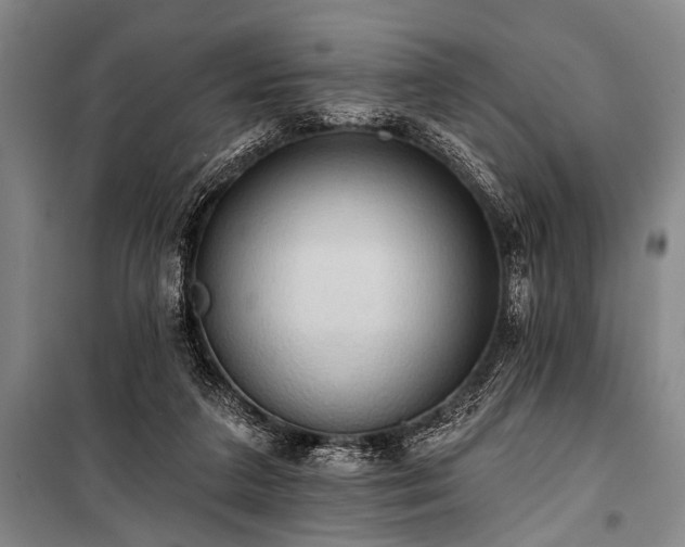 X0000101210211200806271423