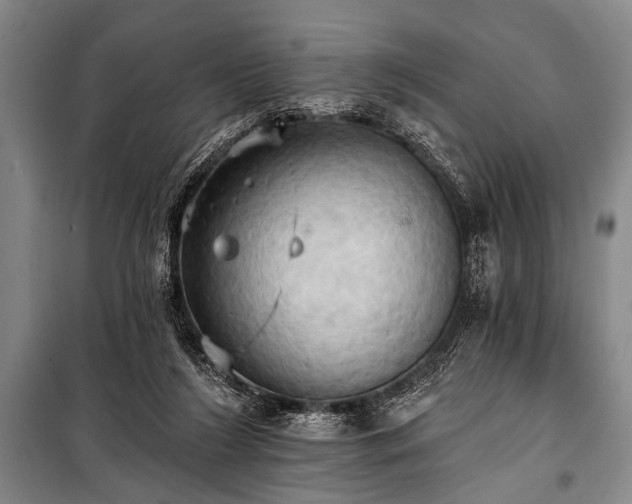 X0000101210212200806271423