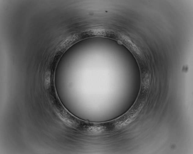 X0000101210213200806271423