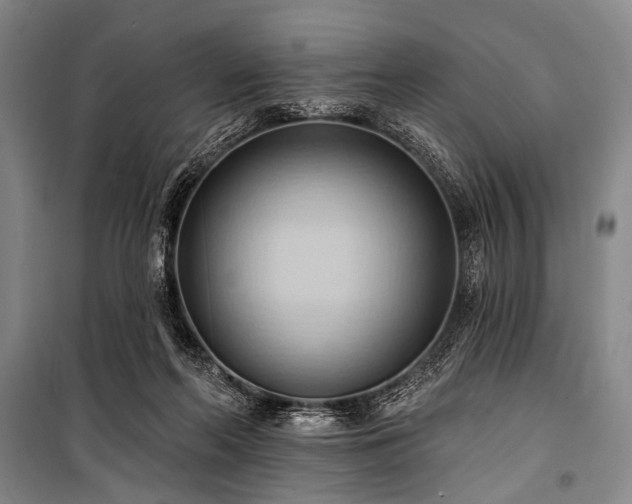 X0000101210214200806271423