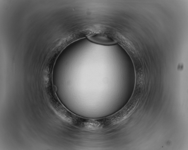 X0000101210215200806271423