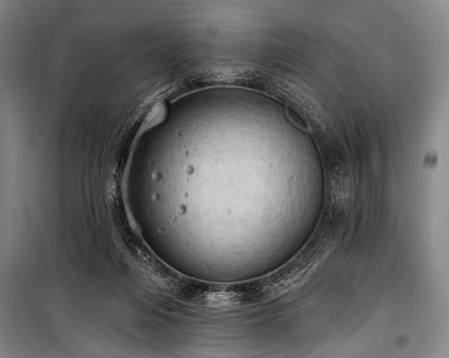 X0000101210216200806271423