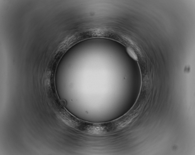 X0000101210217200806271423