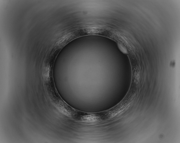 X0000101210219200806271422