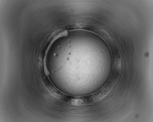 X0000101210220200806271422