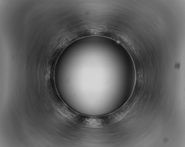 X0000101210221200806271422