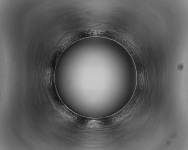 X0000101210222200806271422