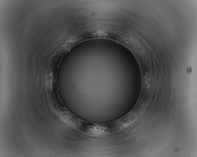 X0000101210223200806271422