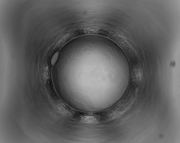 X0000101210224200806271422